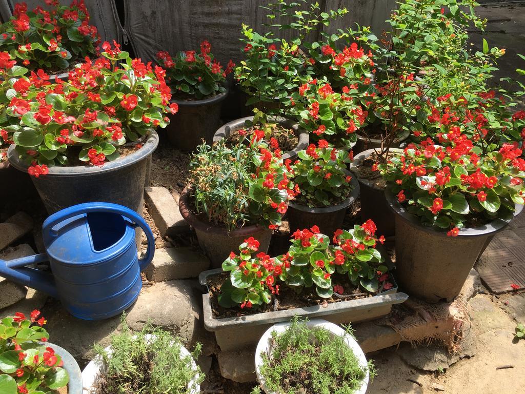 Mk Guesthouse سيول المظهر الخارجي الصورة